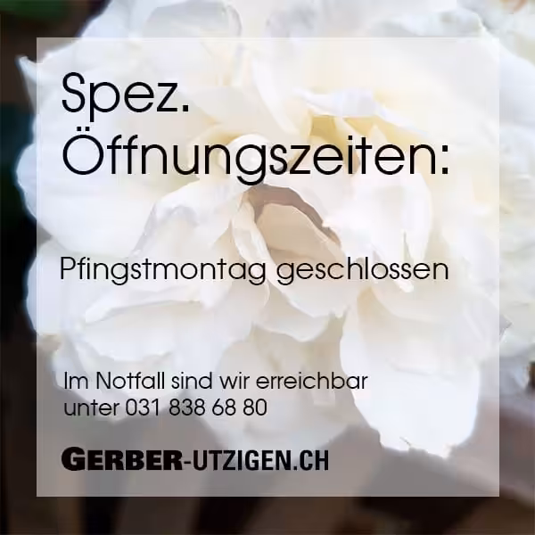 Frohe Pfingsten